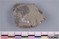 藏品(小型蟹化石)的圖片